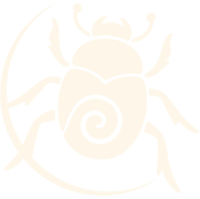 Escarvelho Icon